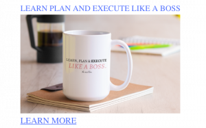 learn plan and execute like a boss mug learn more